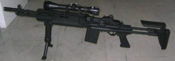 CUSTOM SUR BASE DE M14 EBR